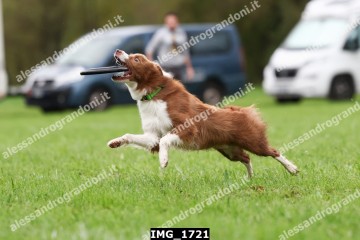IMG_1721.jpg