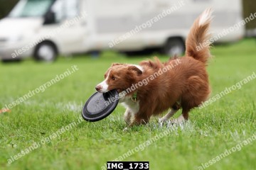 IMG_1733.jpg