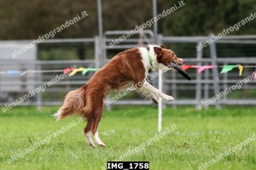 IMG_1758.jpg