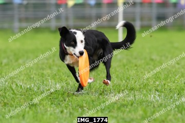 IMG_1774.jpg