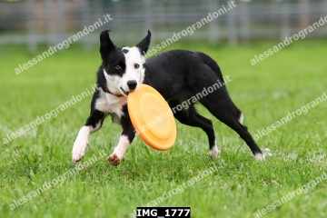 IMG_1777.jpg