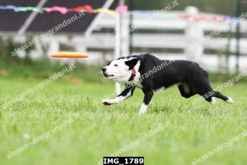 IMG_1789.jpg