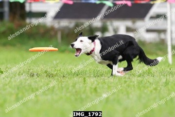 IMG_1792.jpg