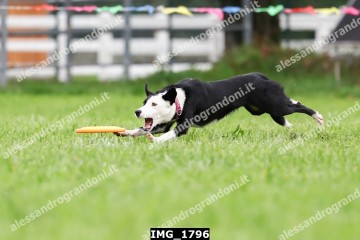 IMG_1796.jpg