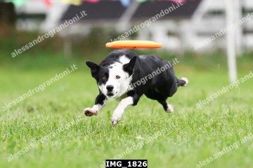IMG_1826.jpg
