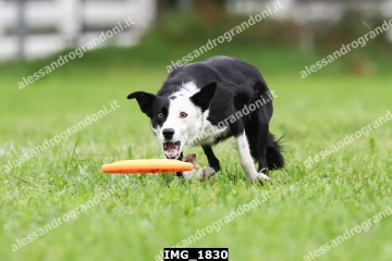 IMG_1830.jpg