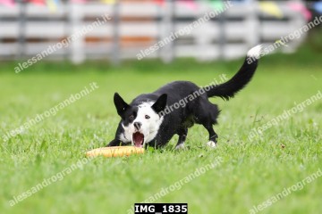 IMG_1835.jpg