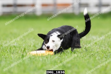 IMG_1836.jpg