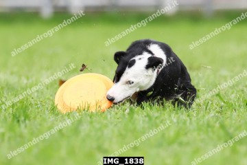 IMG_1838.jpg