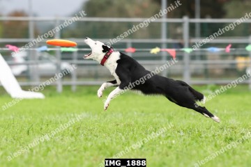 IMG_1888.jpg