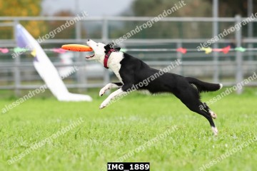IMG_1889.jpg