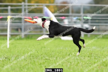 IMG_1891.jpg