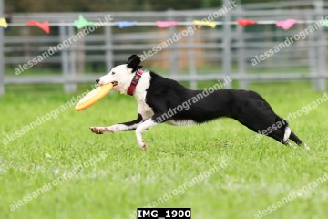IMG_1900.jpg