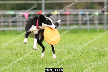 IMG_1920.jpg