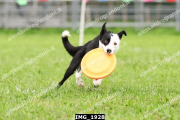IMG_1928.jpg