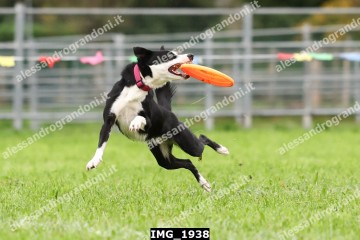 IMG_1938.jpg