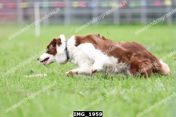 IMG_1959.jpg