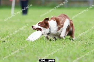 IMG_1968.jpg