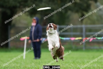 IMG_2048.jpg
