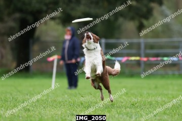 IMG_2050.jpg