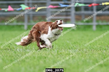 IMG_2075.jpg