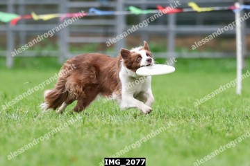 IMG_2077.jpg