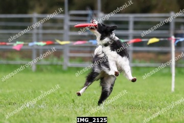 IMG_2125.jpg