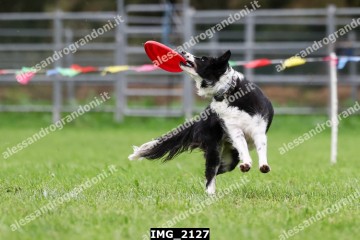 IMG_2127.jpg