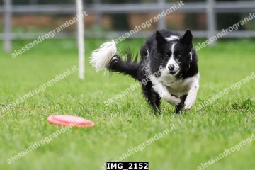 IMG_2152.jpg
