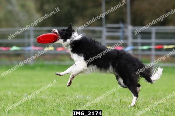 IMG_2174.jpg