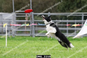 IMG_2210.jpg