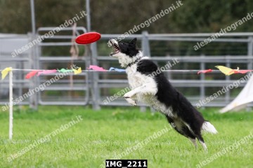 IMG_2211.jpg