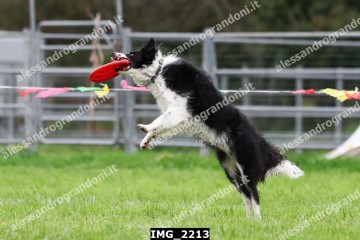 IMG_2213.jpg