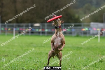 IMG_2237.jpg