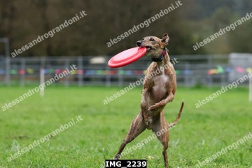 IMG_2239.jpg