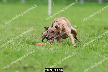 IMG_2259.jpg