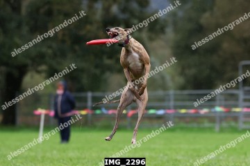 IMG_2296.jpg
