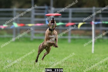 IMG_2320.jpg
