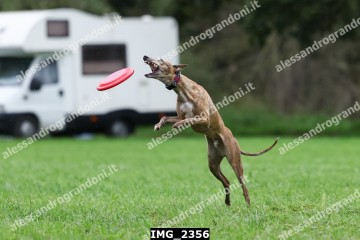 IMG_2356.jpg