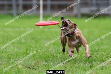 IMG_2423.jpg