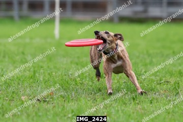 IMG_2424.jpg