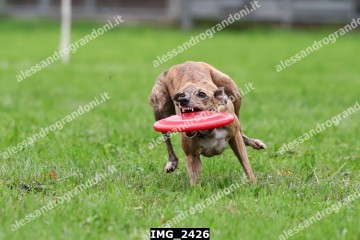 IMG_2426.jpg