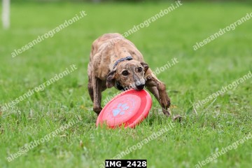 IMG_2428.jpg