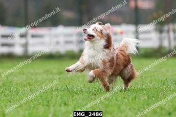 IMG_2486.jpg