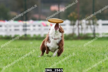 IMG_2563.jpg