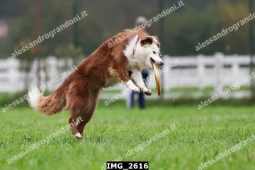 IMG_2616.jpg