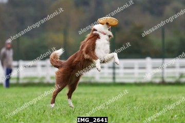 IMG_2641.jpg