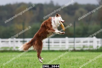 IMG_2644.jpg
