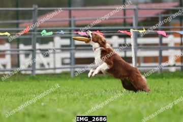 IMG_2686.jpg