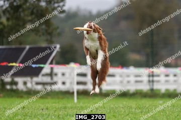 IMG_2703.jpg